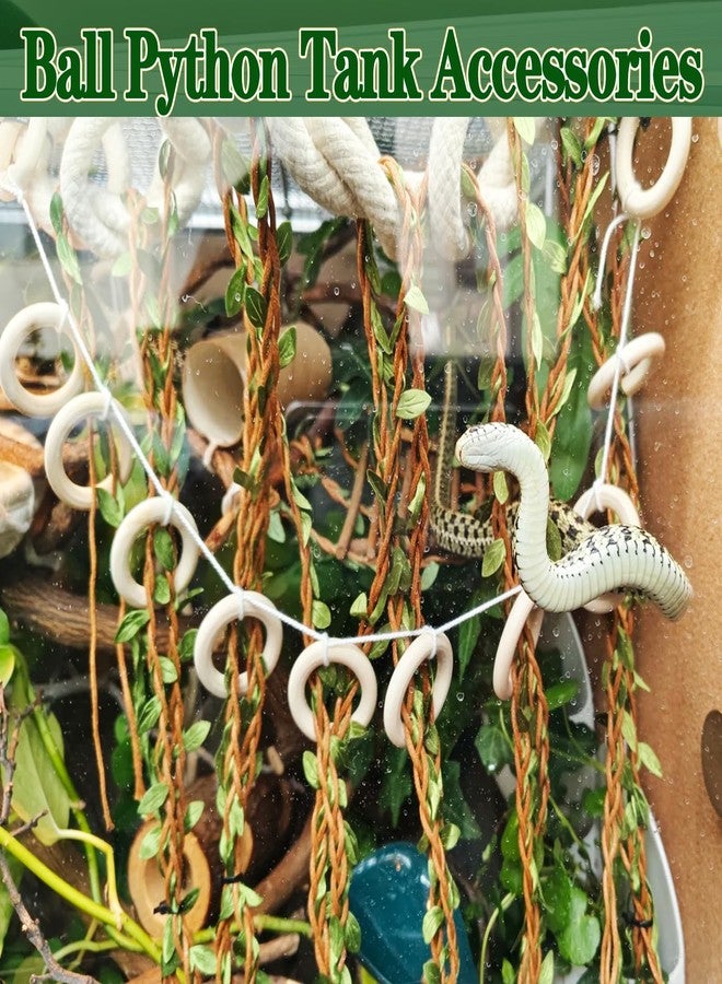Delllala Climbing Vines for Reptiles, Handcrafted Jungle Vines, Suitable for Snakes, Ball Pythons, Chameleons, Playground Climbing Toys, Corn Snake Enrichment Toys - Image 3